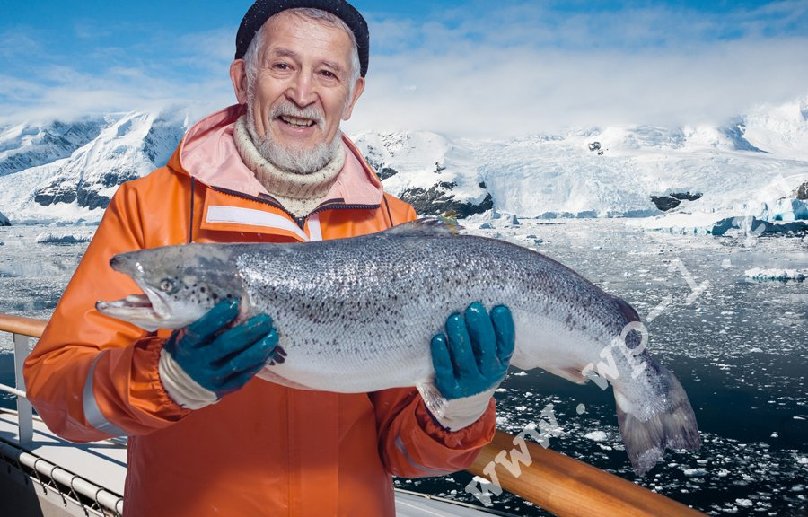Купить Костюм рыбака Fisherman's WPL с прокл.швами в Москве